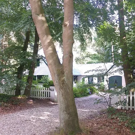 Spanderswoud