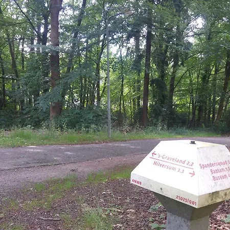 Spanderswoud