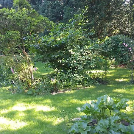 Apartament Spanderswoud