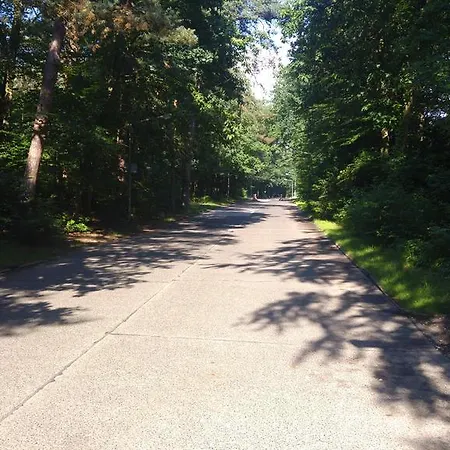 Spanderswoud